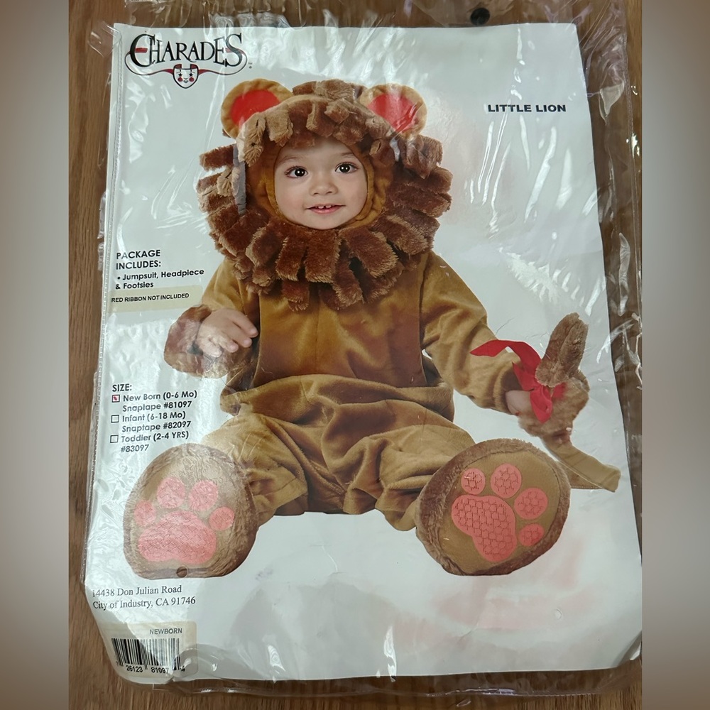 Little Lion Kids Costume - Brown and Red